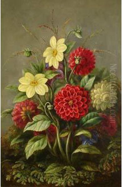 Bouquet De Dahlias Et Marguerites Oil Painting by Albert Durer Lucas