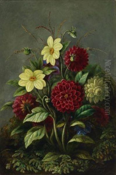 Dahlias And Daisies Amid Ferns And Moss Oil Painting by Albert Durer Lucas