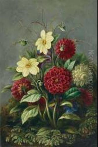 Dahlias And Daisies Amid Ferns And Moss Oil Painting by Albert Durer Lucas