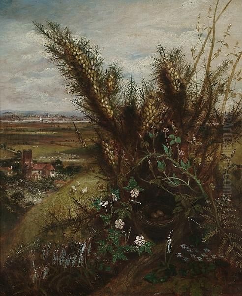 A Still Life Of Wild Flowers And
 A Birds Nest, An Extensive View To A Church And River Beyond Oil Painting by Albert Durer Lucas