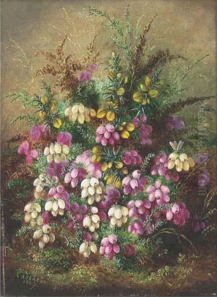 Wild Flowers Oil Painting by Albert Durer Lucas