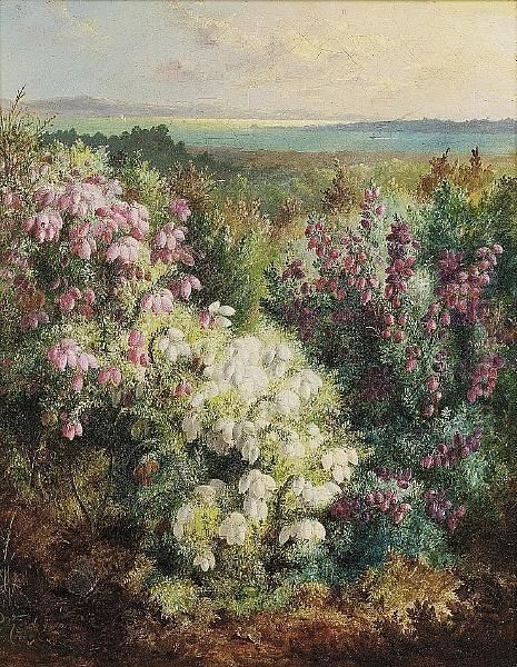 Bell Heather Beside A Coastal Landscape Oil Painting by Albert Durer Lucas