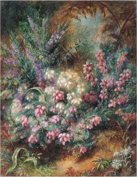 Heather In Flower Oil Painting by Albert Durer Lucas