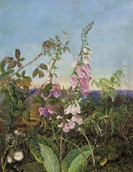 A Summer Hedgerow Oil Painting by Albert Durer Lucas