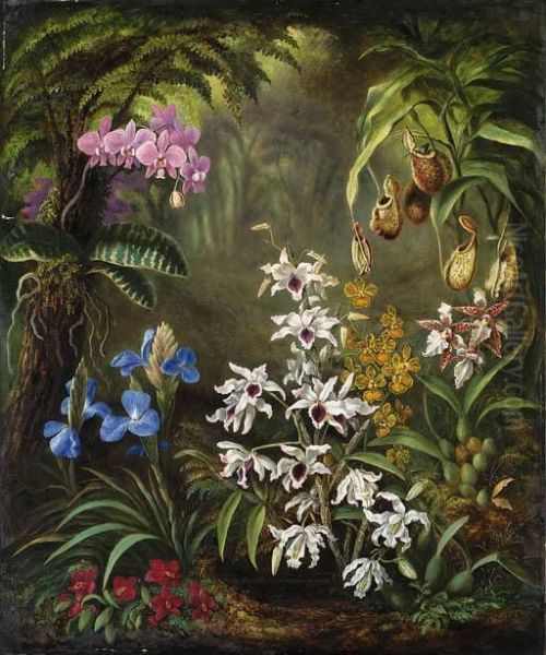 Orchids Oil Painting by Albert Durer Lucas