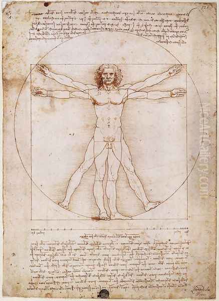 Vitruvian Man Oil Painting by Leonardo Da Vinci