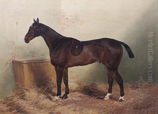 'locksley', A Dark Bay Hunter In Its Box Oil Painting by Henry Frederick Lucas-Lucas