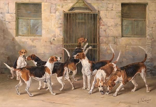 A Group Of Percy Hounds - 
'strangler, Finder, Rifleman, Gainer, Pluto, Doriment, Roman, Hotspur, 
Render, Testy And Greelock' Oil Painting by Henry Frederick Lucas-Lucas