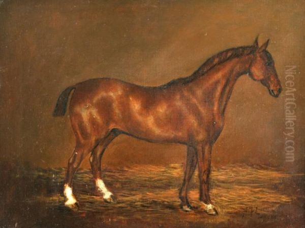 Lucas Study Of A Bay Hunter In A Stable Oil Painting by Henry Frederick Lucas-Lucas