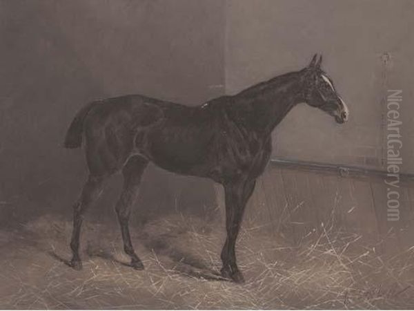 Ringlet A Dark Brown Racehorse In A Stable Oil Painting by Henry Frederick Lucas-Lucas