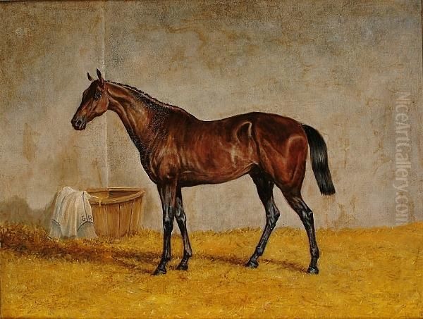 Portrait Of Bay Horse In A Stable Oil Painting by Henry Frederick Lucas-Lucas