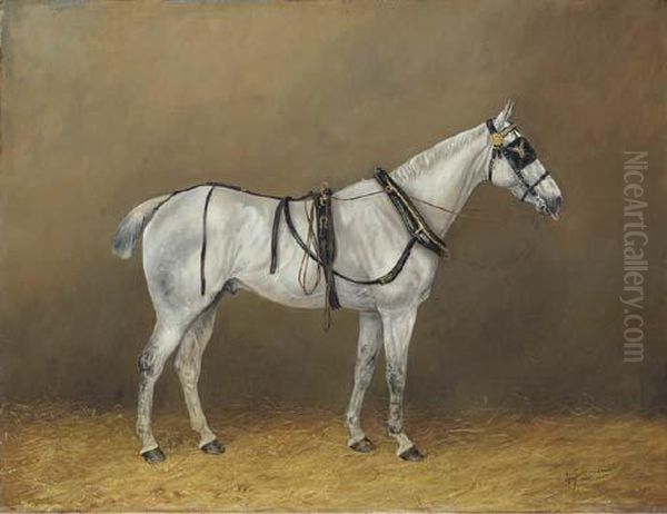 Simon, A Grey Horse In Harness In A Stable Oil Painting by Henry Frederick Lucas-Lucas