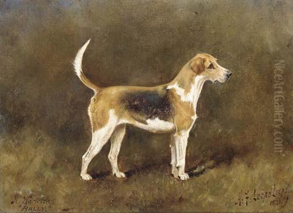 Rally, A Champion Hound Bitch Oil Painting by Henry Frederick Lucas-Lucas