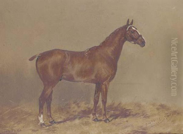 Tom-thumb, A Chestnut Hunter Oil Painting by Henry Frederick Lucas-Lucas