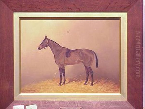 Flatlands Mare And Otho Vaugh: Pair Of Equestrian Portraits Oil Painting by Henry Frederick Lucas-Lucas