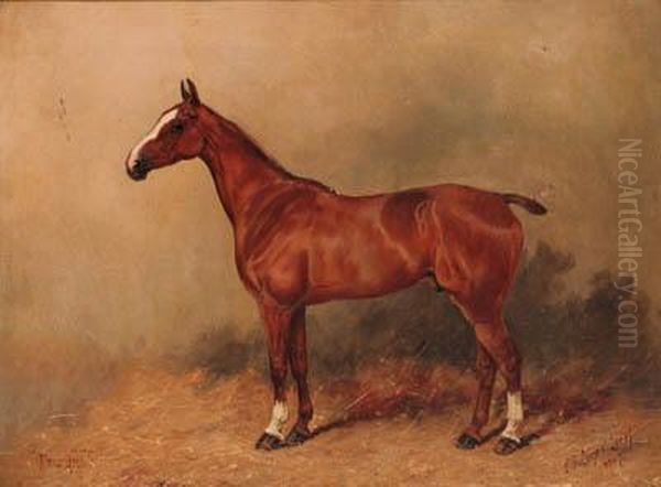 Friz-hill, A Chestnut Polo Pony Oil Painting by Henry Frederick Lucas-Lucas