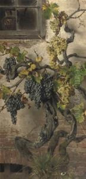 Red And White Grapes Oil Painting by Giorgio Lucchesi