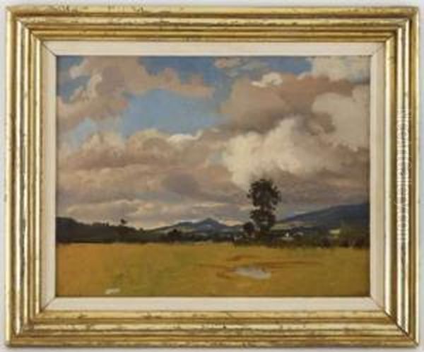 Paysage Des Environs De Geneve Oil Painting by Albert Lugardon