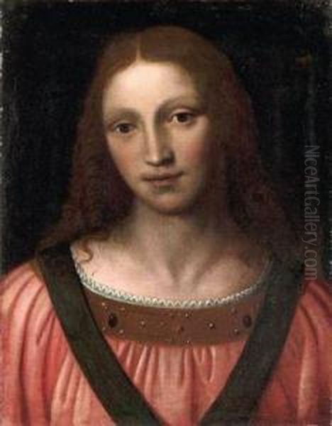 Buste Christi Oil Painting by Bernardino Luini