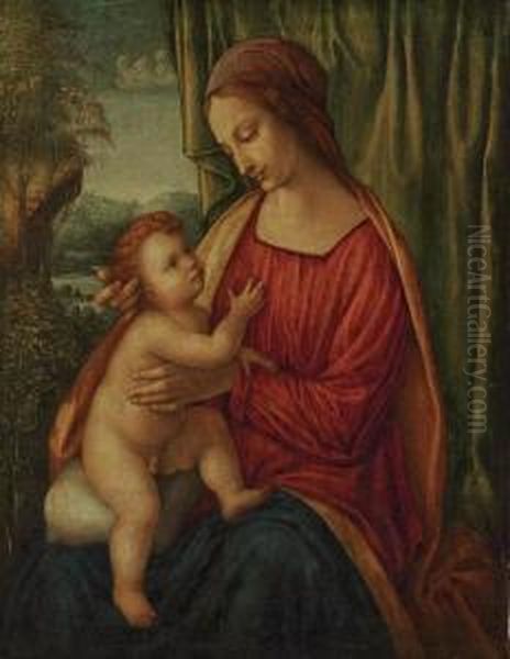 The Madonna And Child Oil Painting by Bernardino Luini