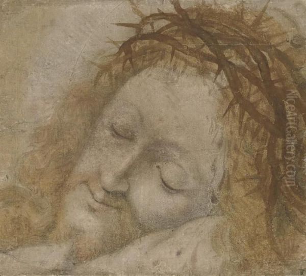 Head Of Christ, Crowned With Thorns Oil Painting by Bernardino Luini