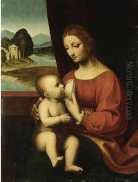 Madonna Col Bambino Oil Painting by Bernardino Luini