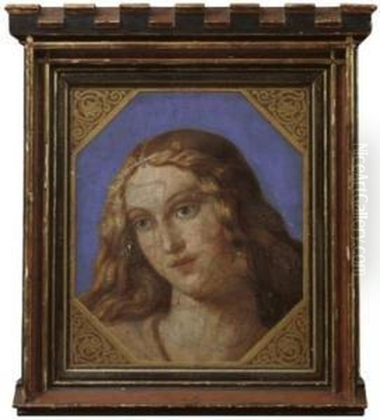 Kopf Einer Jugen Frau Oil Painting by Bernardino Luini