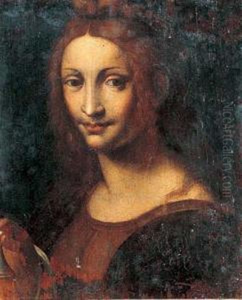 Figura Muliebre Oil Painting by Bernardino Luini