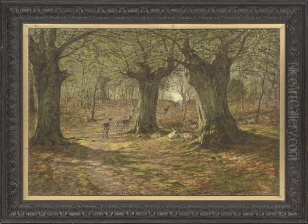 Deer In Burnham Beeches, Buckinghamshire Oil Painting by William Snr Luker