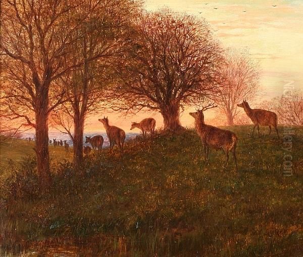 Deer In Wooded Landscape Oil Painting by William Snr Luker