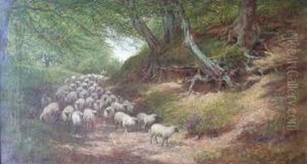 A Shepherd With His Flock On Asunlit Woodland Track Oil Painting by William Snr Luker