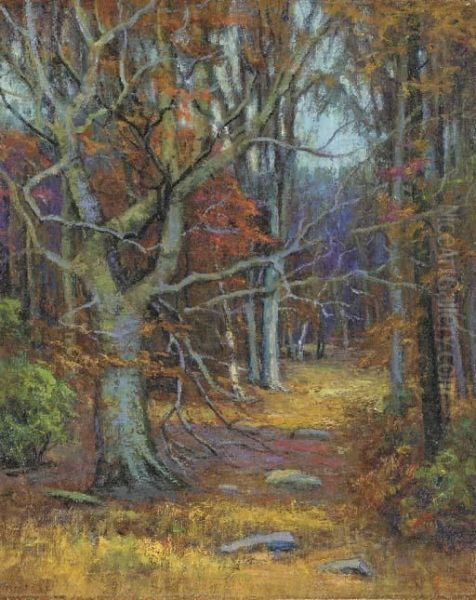 Old Beech by Harriet Randall Lumis