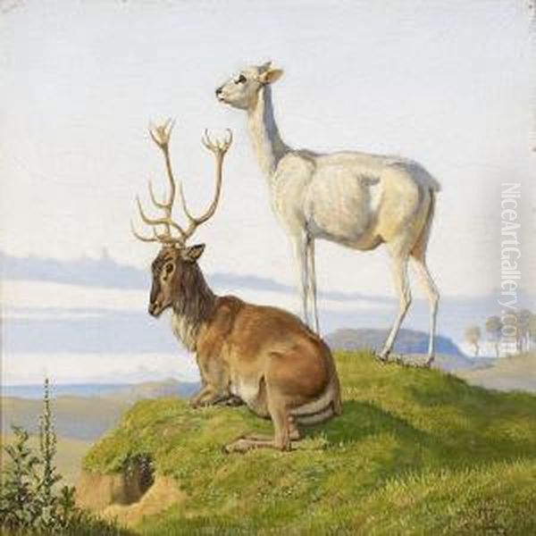 A Deer And Ahind Oil Painting by Johan Thomas Lundbye