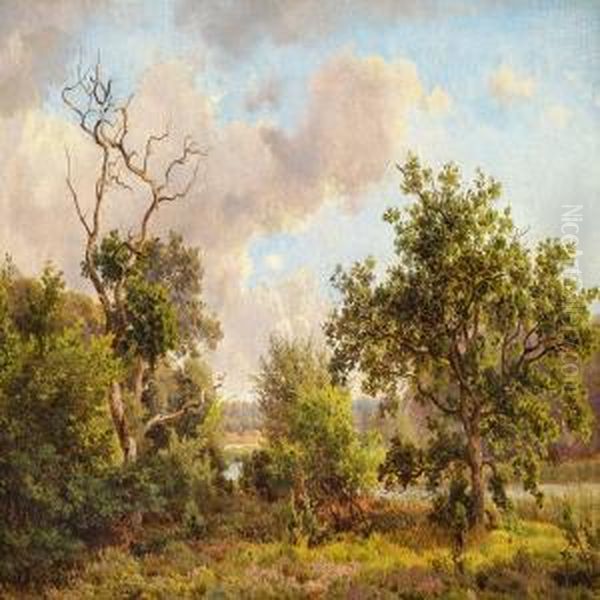 Summer Day In Bollemosen Oil Painting by Anders Christian Lunde