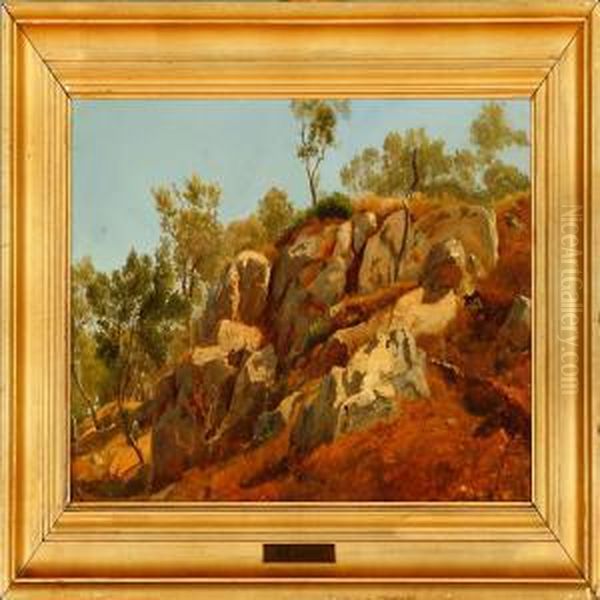 A Rocky Scene From Capri Oil Painting by Anders Christian Lunde