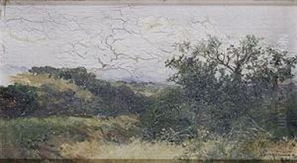 Paisaje Oil Painting by Jose Lupianez y Carrasco