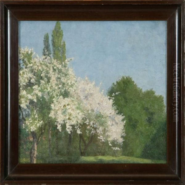 Sommer Scenery With Blooming Fruit Trees Oil Painting by Marie Luplau