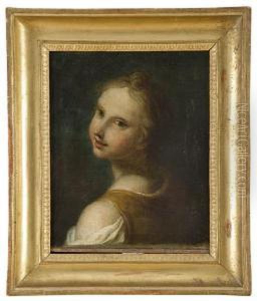 Ritratto Di Fanciulla Oil Painting by Benedetto Luti