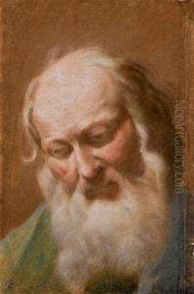 Kopf Eines Bartigen Mannes Oil Painting by Benedetto Luti