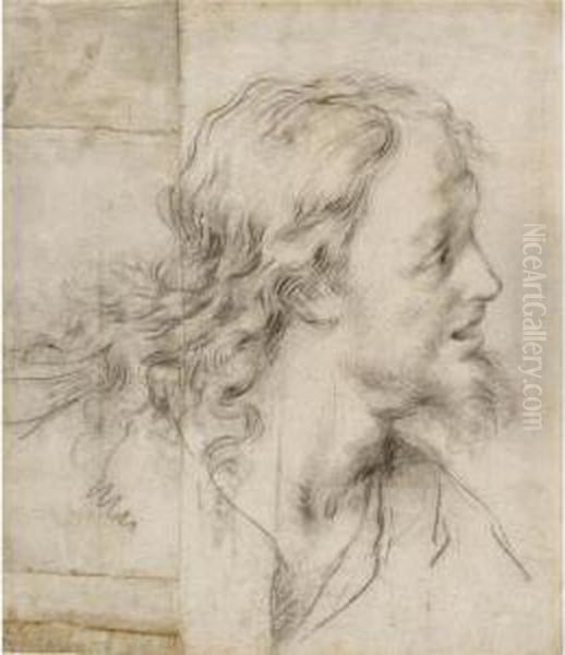 Recto: The Head Of Christ Verso: Study For A Flagellation Oil Painting by Benedetto Luti