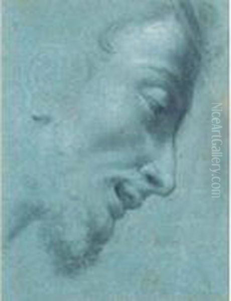 Tete D'homme Barbu Vue De Profil Oil Painting by Benedetto Luti