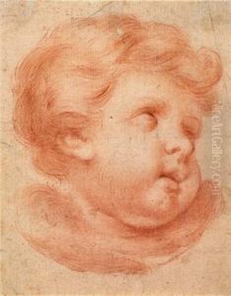 Head Of An Angel Oil Painting by Benedetto Luti