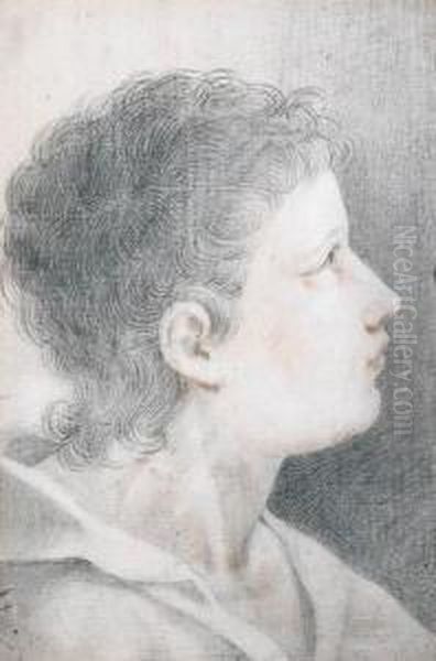 Study Of A Boy's Head Oil Painting by Benedetto Luti