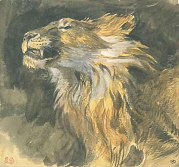 Head of a Lion Oil Painting by Eugene Delacroix