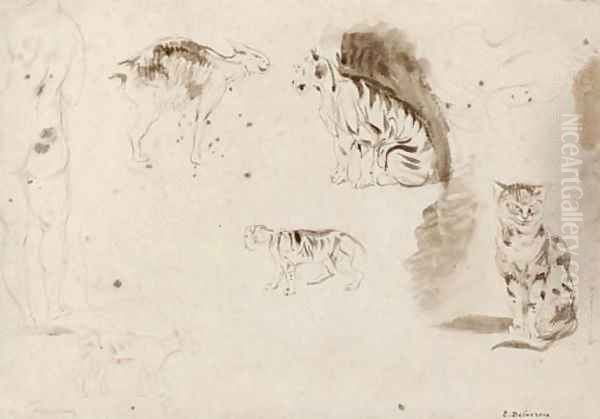 Studies of cats, other felines and two female nudes seen from behind Oil Painting by Eugene Delacroix