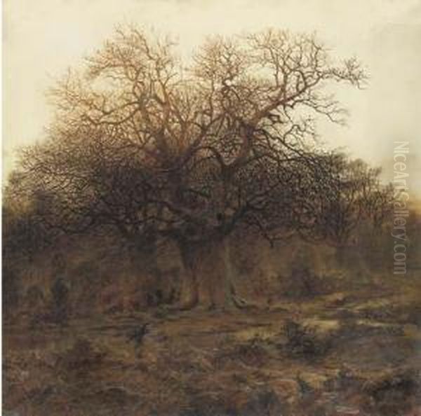 Twilight, Burnham Beeches Oil Painting by Andrew MacCallum