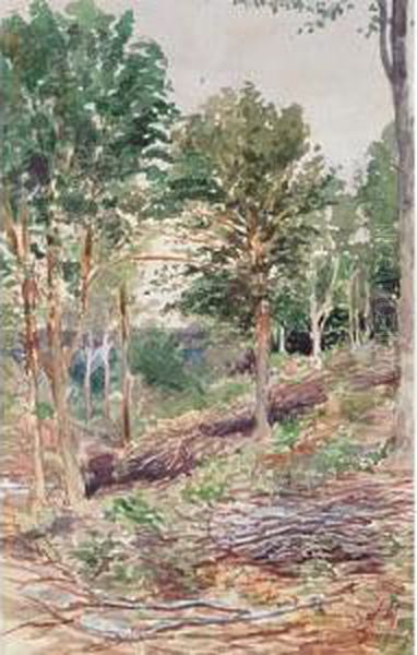 Woodland Scene Oil Painting by James Edward Hervey MacDonald