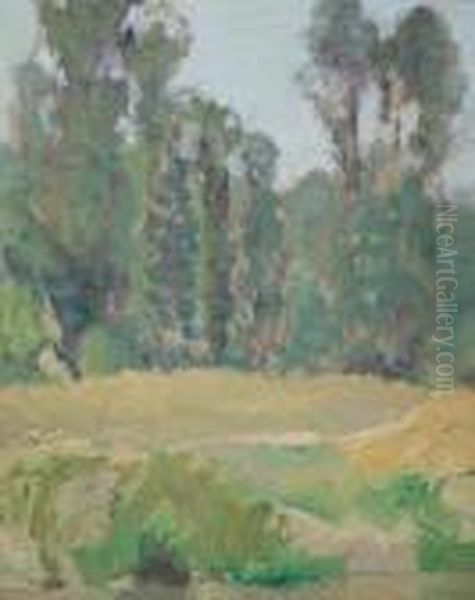 Poplars, Thornhill Oil Painting by James Edward Hervey MacDonald