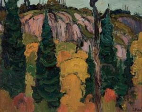 Spruce And Maple, Algoma Oil Painting by James Edward Hervey MacDonald