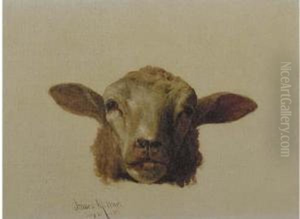 A Sheep's Head Oil Painting by James McDougal Hart